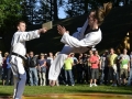 viacon-pokaz-taekwondo10