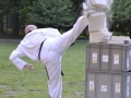 viacon-pokaz-taekwondo12