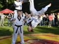 viacon-pokaz-taekwondo3